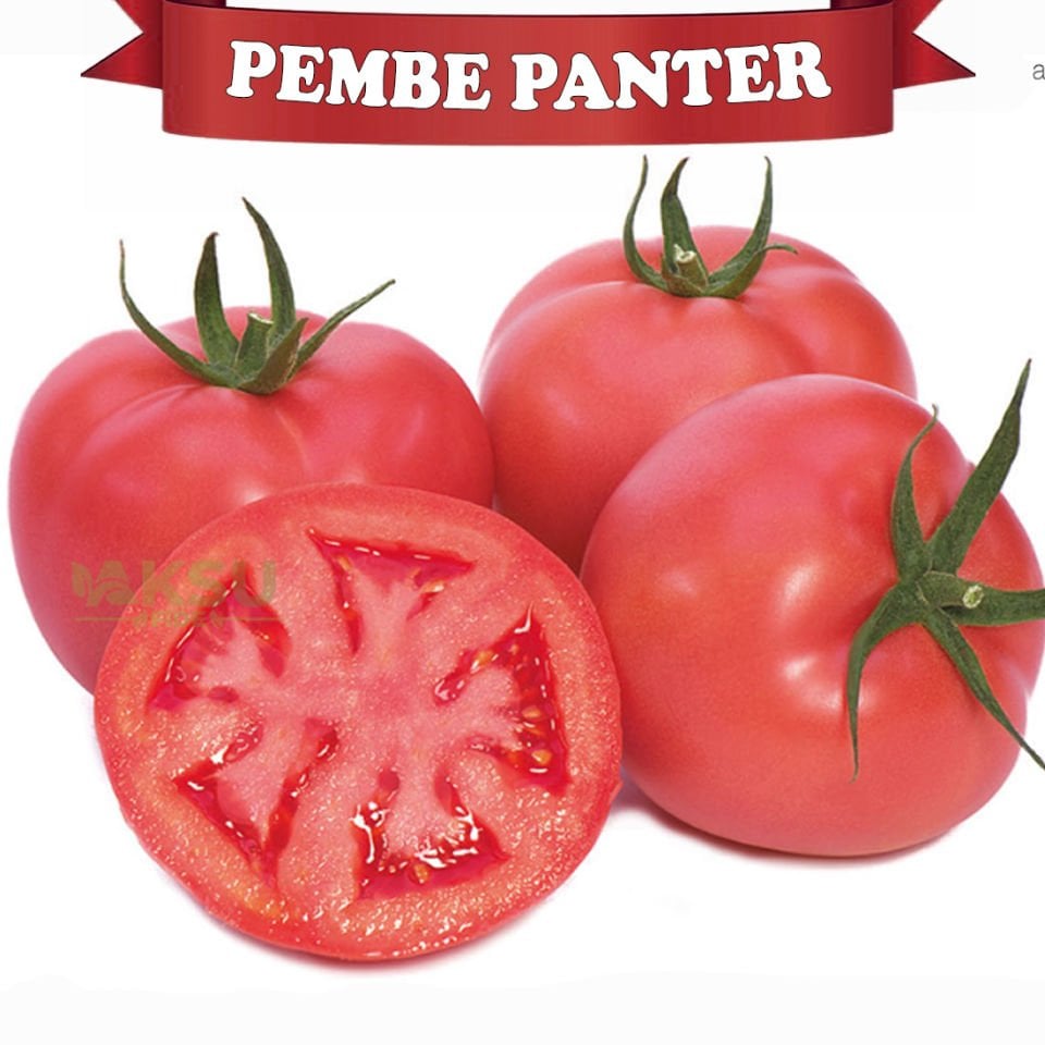 Pembepanter F1 Domates Tohumu 1000 Adet