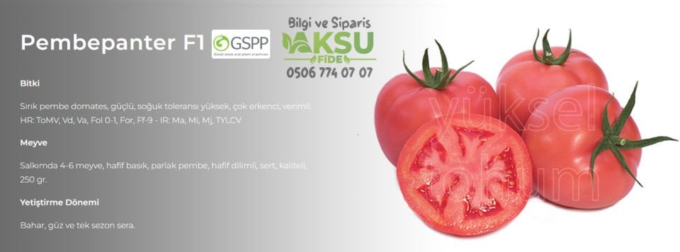 Pembepanter F1 Domates Tohumu 1000 Adet