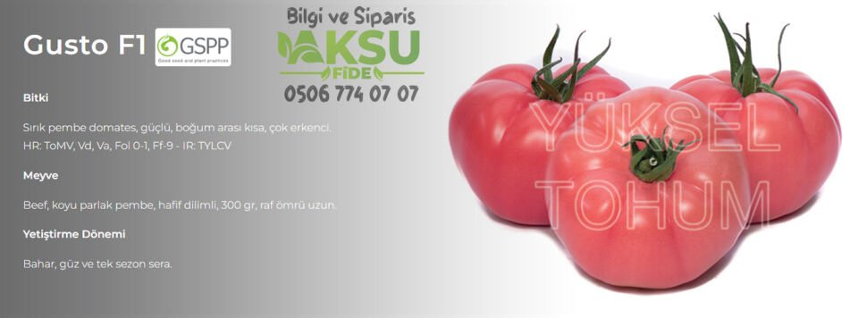 Gusto F1 Domates Tohumu 1000 Adet