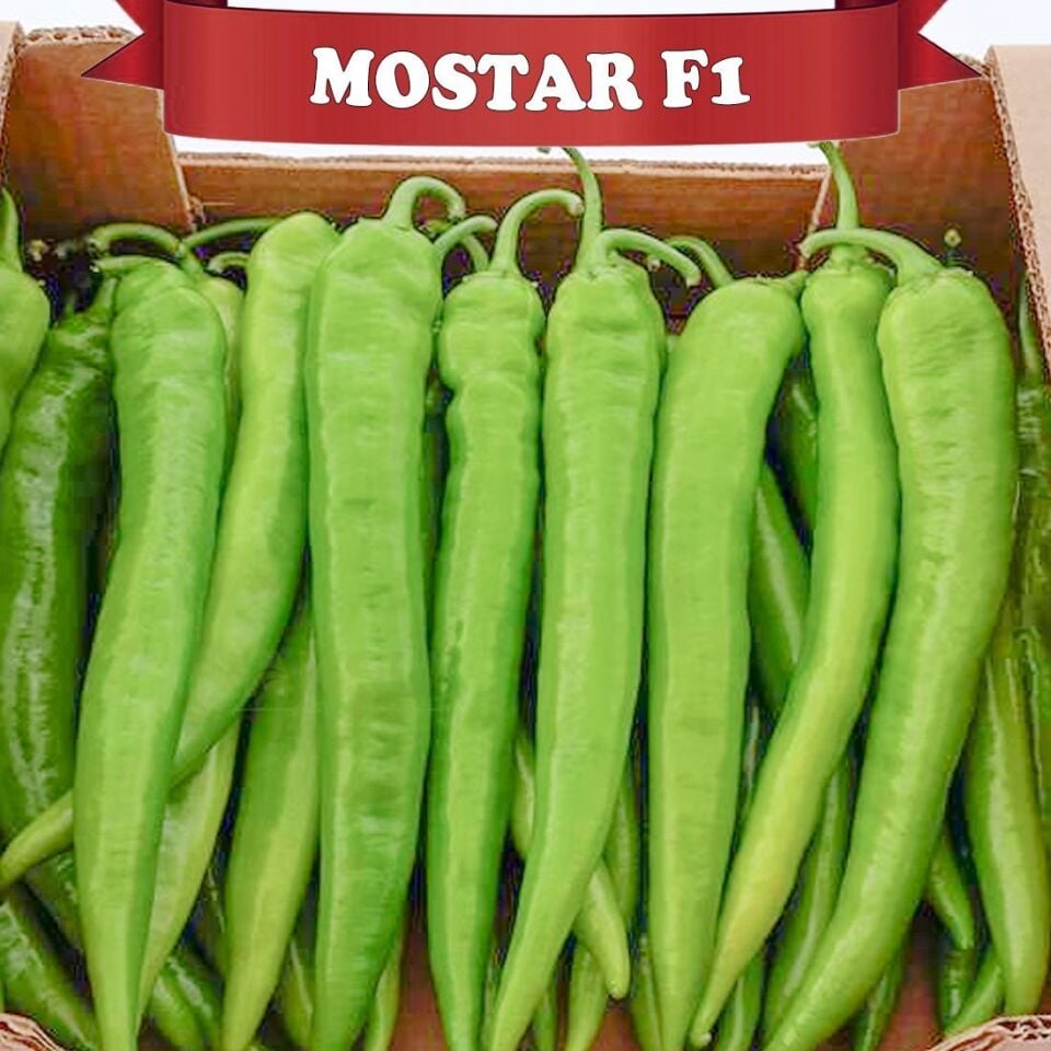 Mostar F1 Sivri Biber Tohumu 1000 Adet
