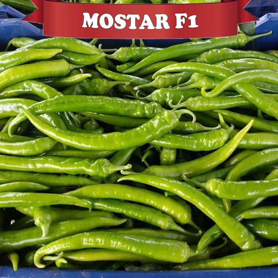Mostar F1 Sivri Biber Tohumu 1000 Adet