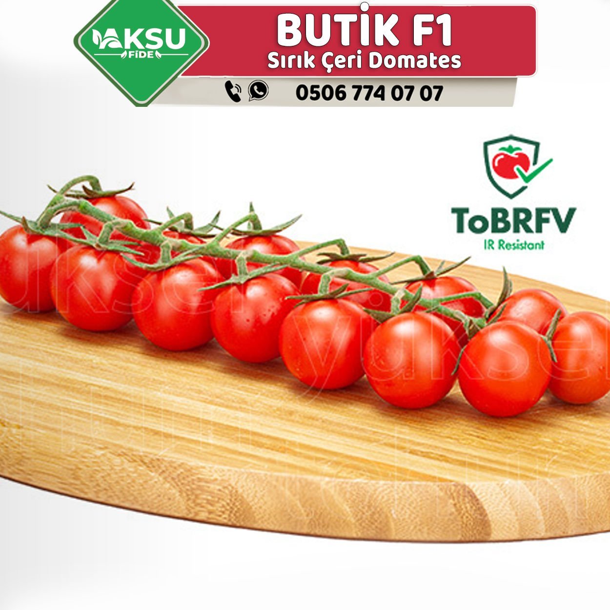 Butik F1 Çeri Domates Tohumu 1000 Ad/pk