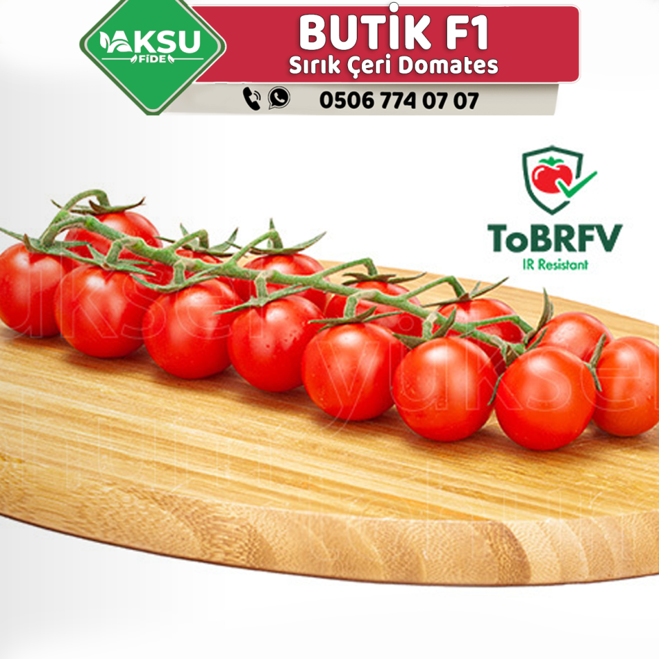 Butik F1 Çeri Domates Tohumu 1000 Ad/pk