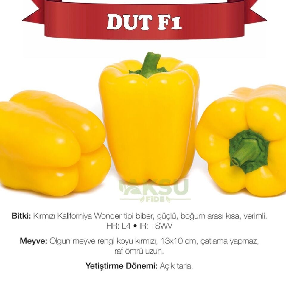 Dut F1 Sarı Kaliforniya Wonder Biberi Tohumu