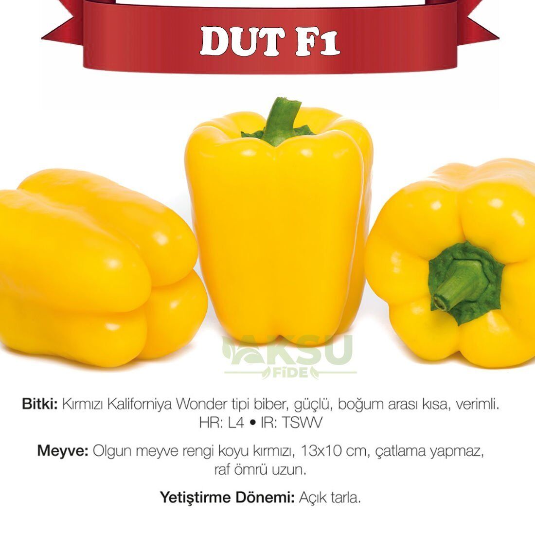 Dut F1 Sarı Kaliforniya Wonder Biberi Tohumu