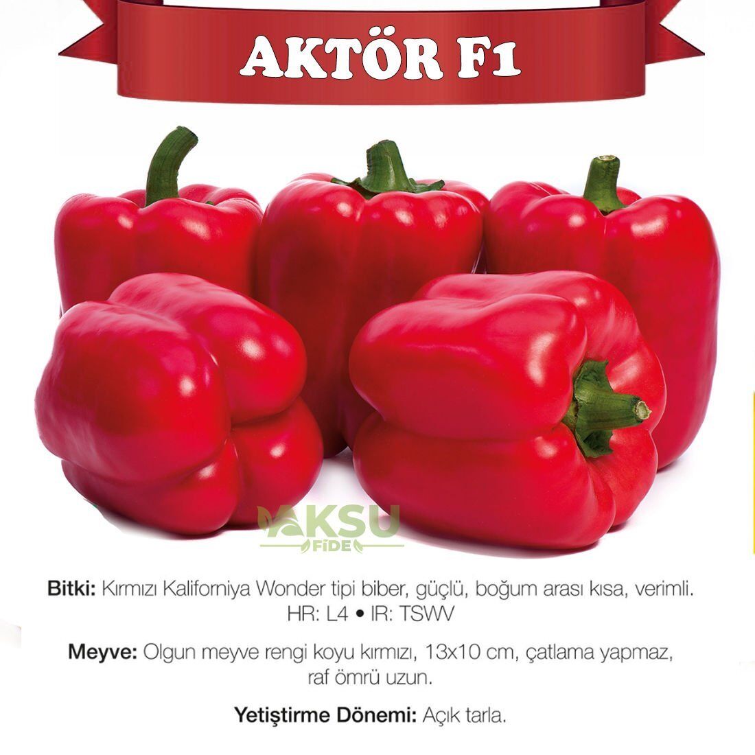 Aktör F1 Kırmızı Dolma Biberi Tohumu