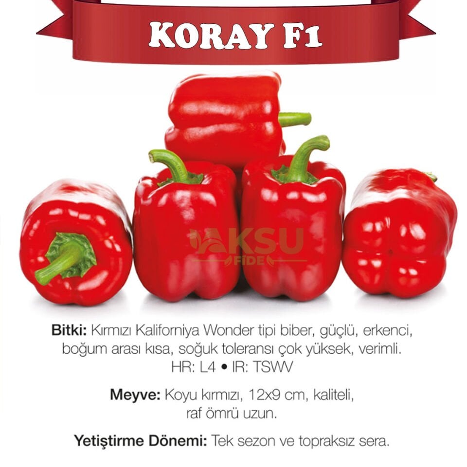 Koray F1 Kırmızı Kaliforniya Biberi Tohumu