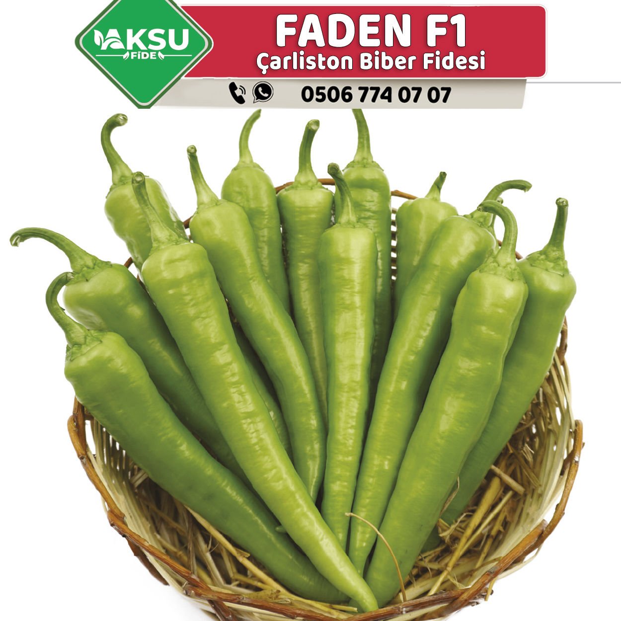 Faden F1 Çarliston Biber Fidesi