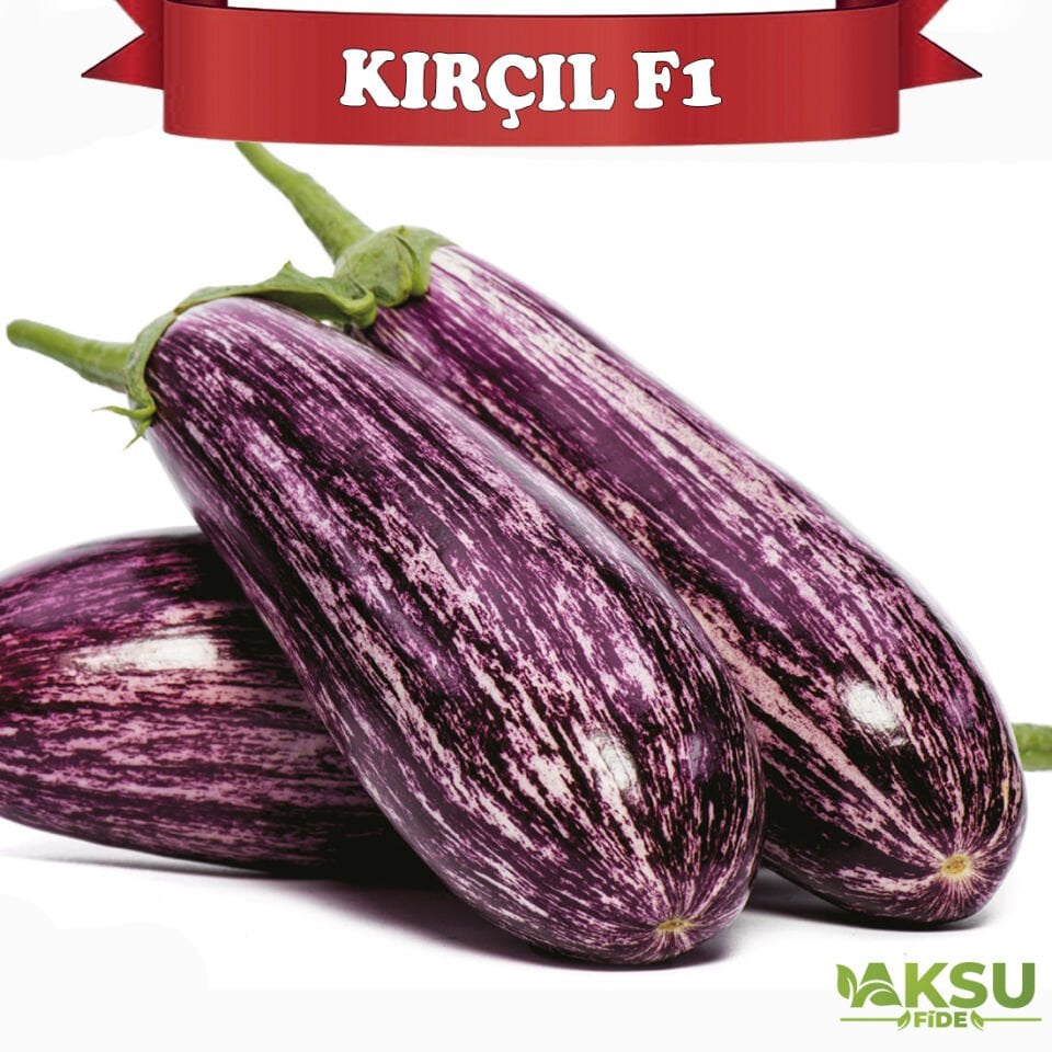 Kırçıl F1 Çizgili Patlıcan Tohumu