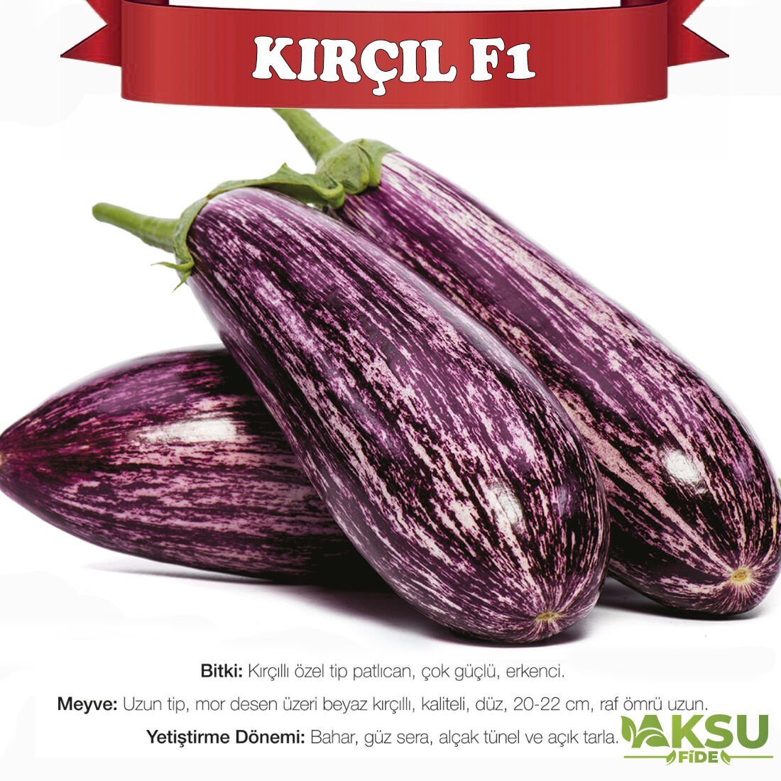 Kırçıl F1 Çizgili Patlıcan Tohumu