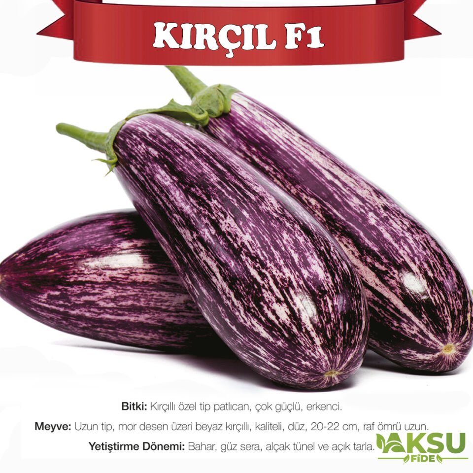 Kırçıl F1 Çizgili Patlıcan Tohumu