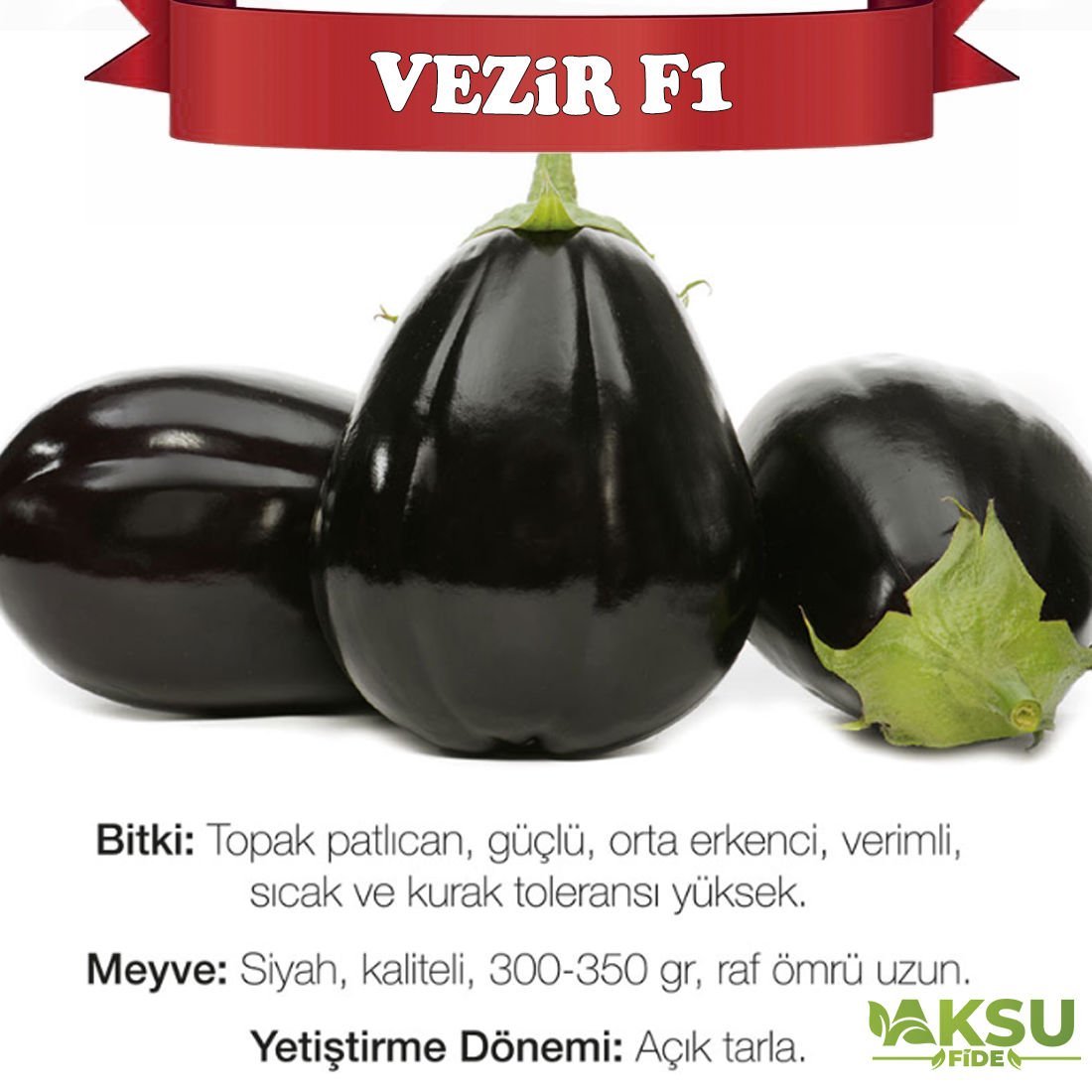 Vezir F1 Topan Patlıcan Tohumu