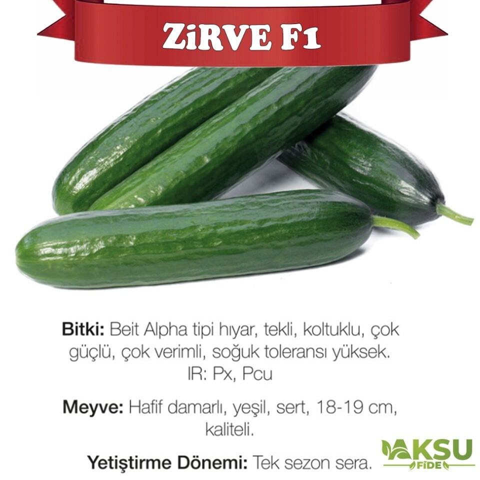 Zirve F1 Sırık Hıyar Tohumu