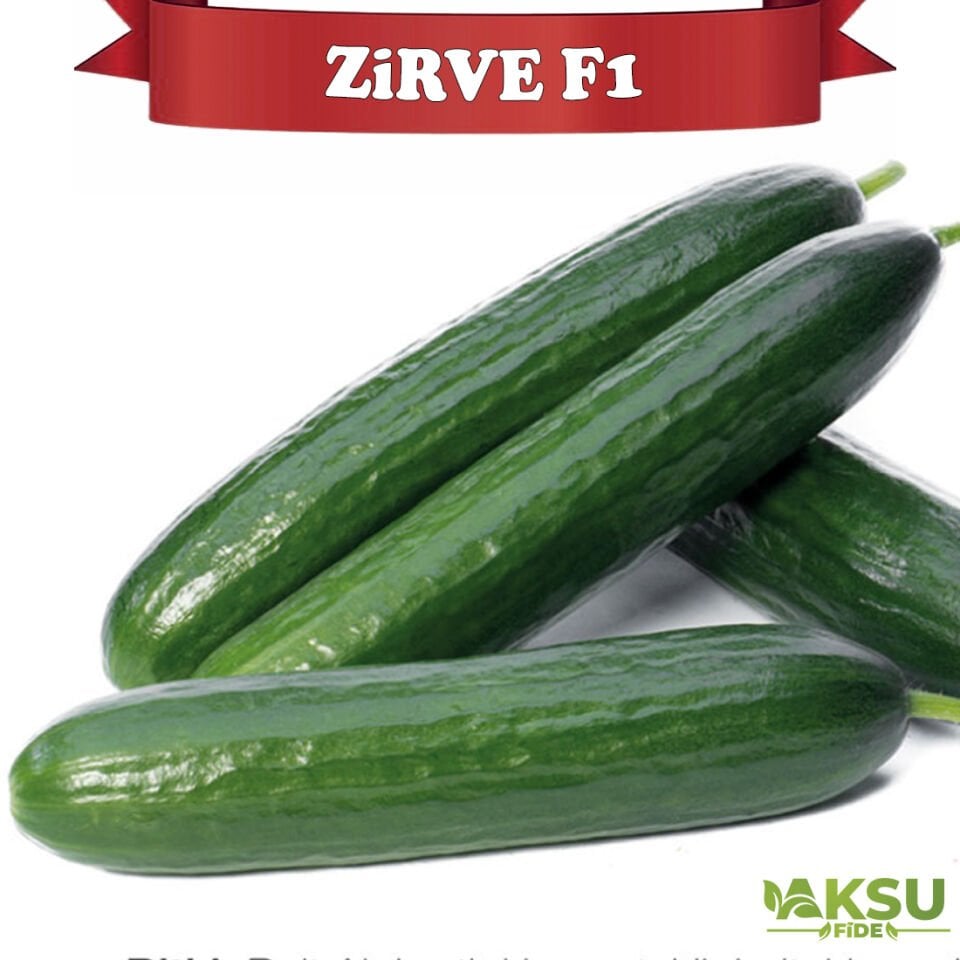 Zirve F1 Sırık Hıyar Tohumu