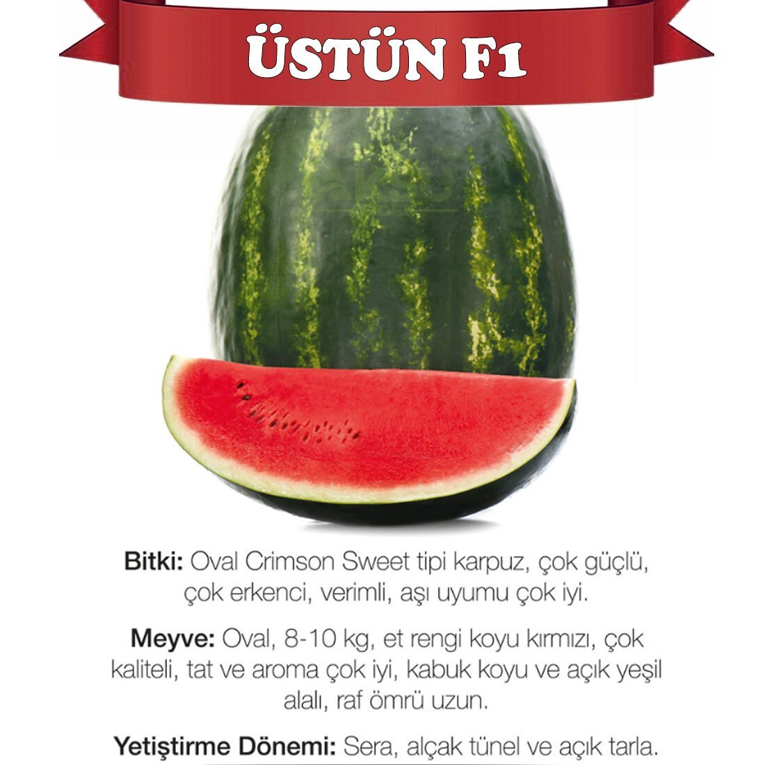 Üstün F1 Karpuz Tohumu