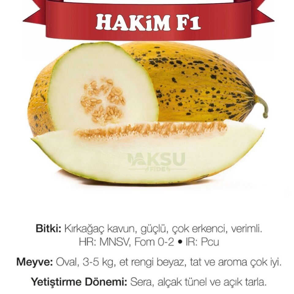 Hakim F1 Kırkağaç Kavun Tohumu