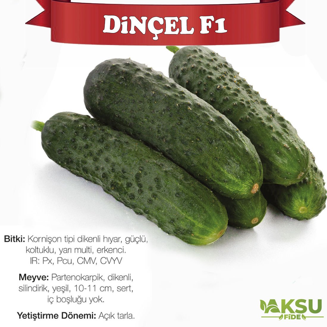 Dinçel F1 Dikenli Hıyar Tohumu