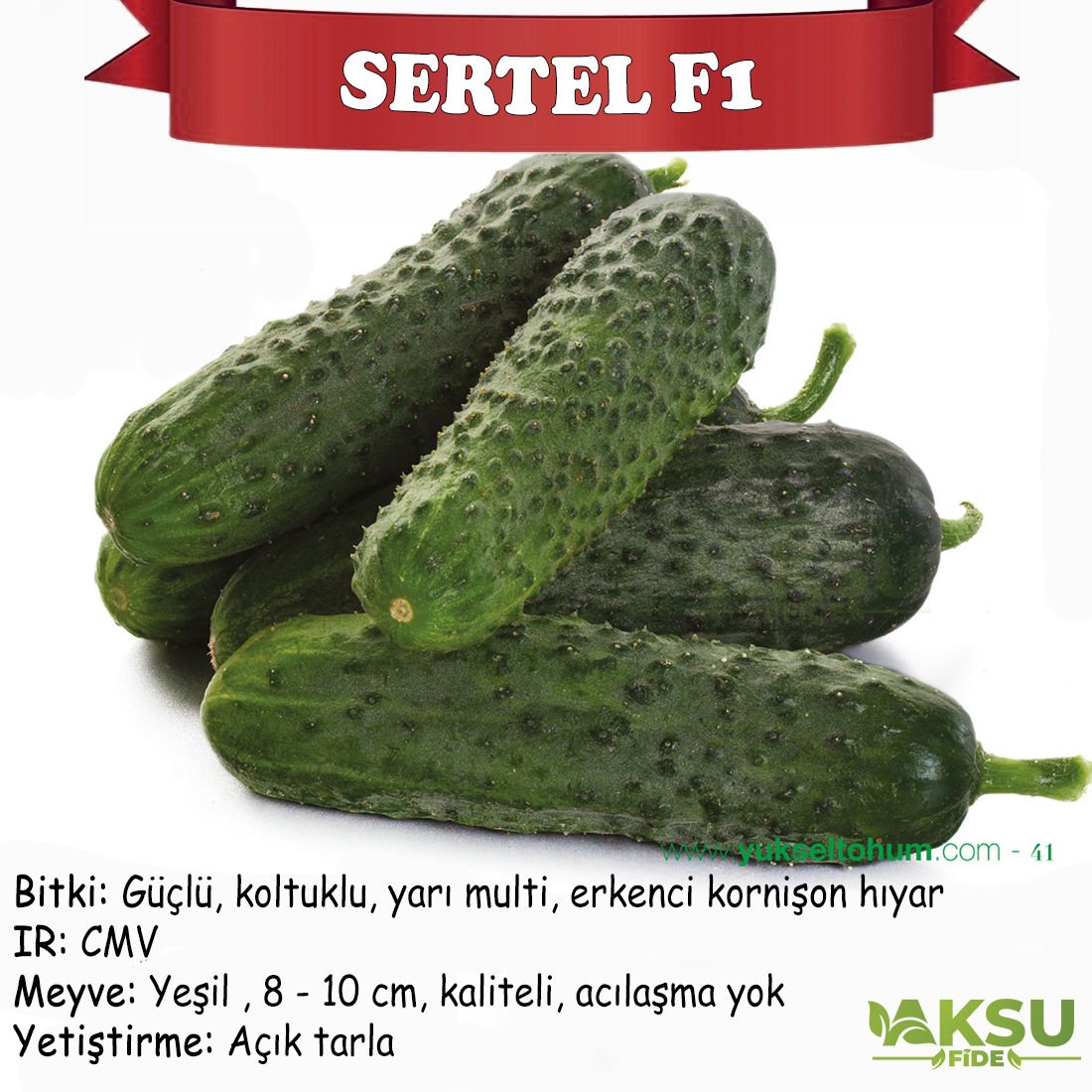 Sertel F1 Dikenli Hıyar Tohumu