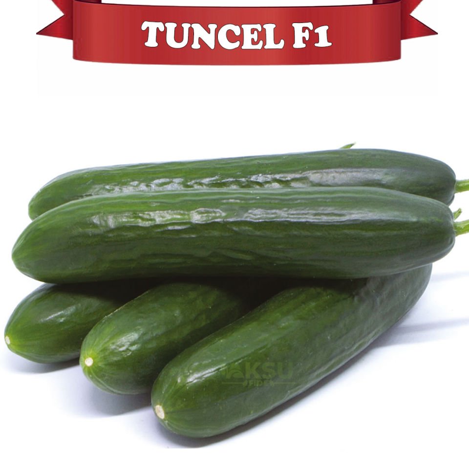 Tuncel F1 Oturak Hıyar Tohumu