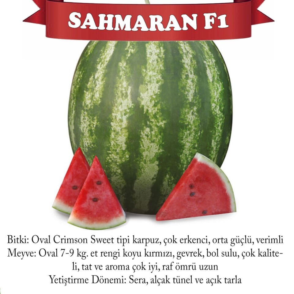 Şahmaran F1 Crimson Karpuz Tohumu