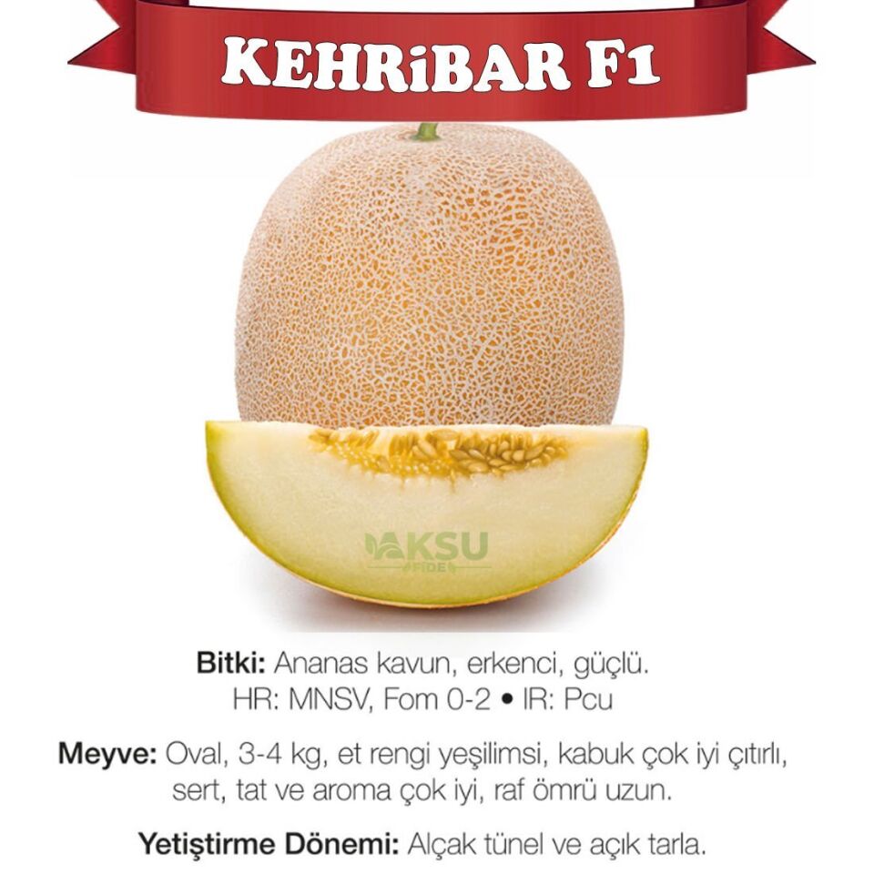 Kehribar F1 Ananas Kavun Tohumu