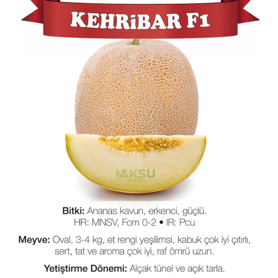Kehribar F1 Ananas Kavun Tohumu