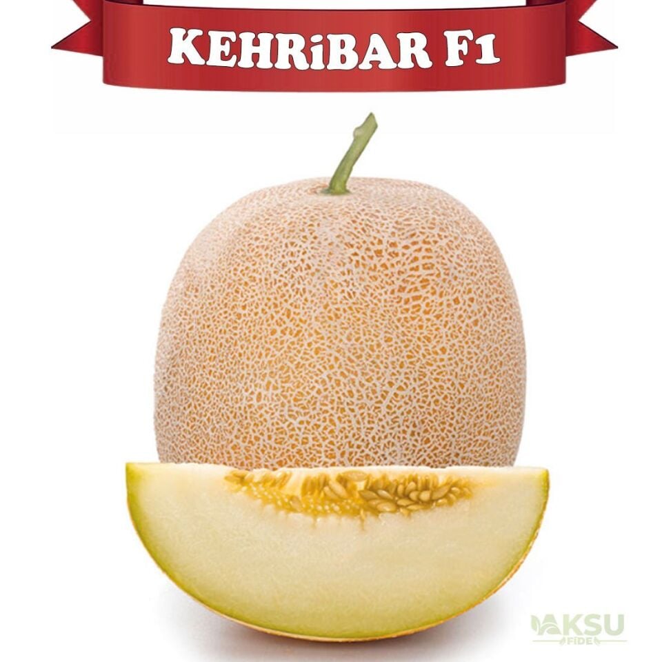Kehribar F1 Ananas Kavun Tohumu
