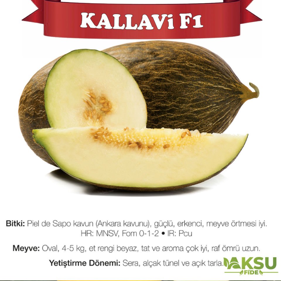 Kallavi F1 Ankara Kavunu Tohumu