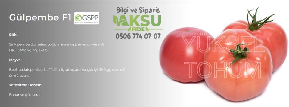 Gülpembe F1 Domates Tohumu
