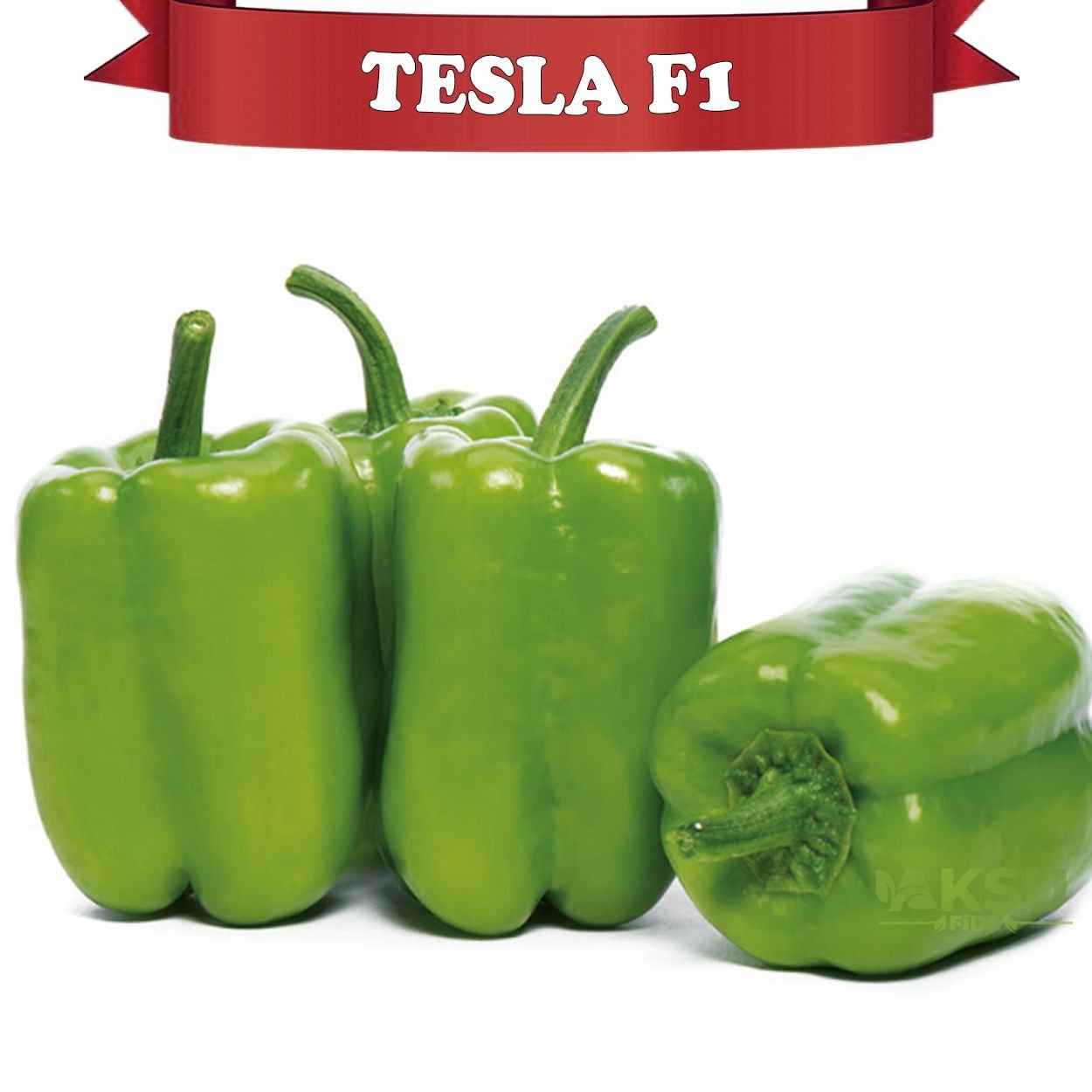 Tesla F1 Dolma Biber Tohumu