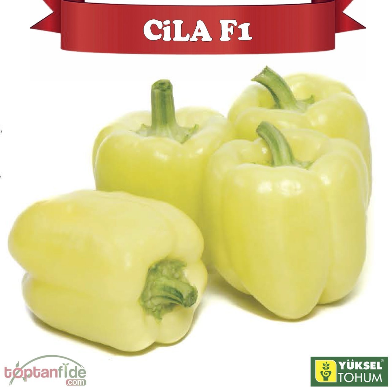 Cila F1 Krem Macar Dolma Biberi Tohumu