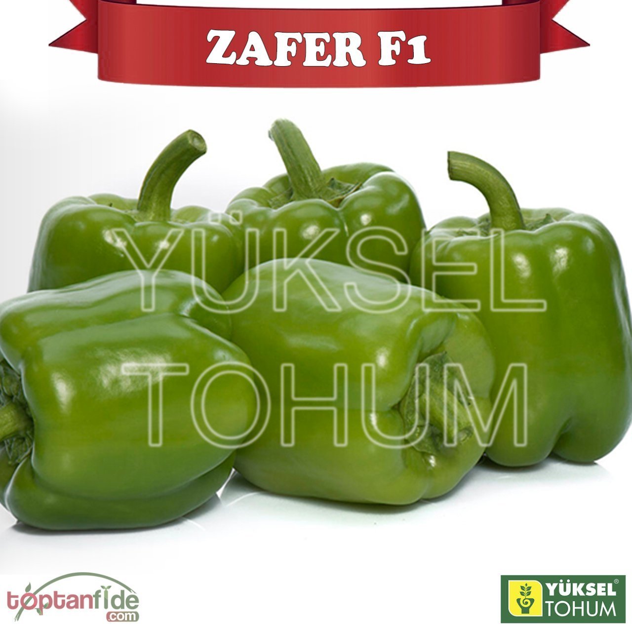Zafer F1 Dolma Biber Tohumu