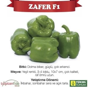 Zafer F1 Dolma Biber Tohumu