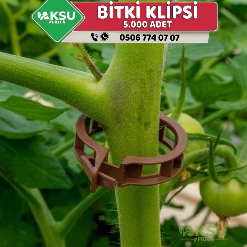 Domates Klipsi - 5.000 Adet 25 Mm. Bitki Klipsi - 1 Çuval
