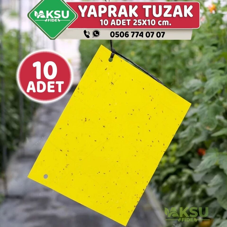 Sarı Yapışkanlı Kart Tuzak 10 Adet 25 x 10 cm