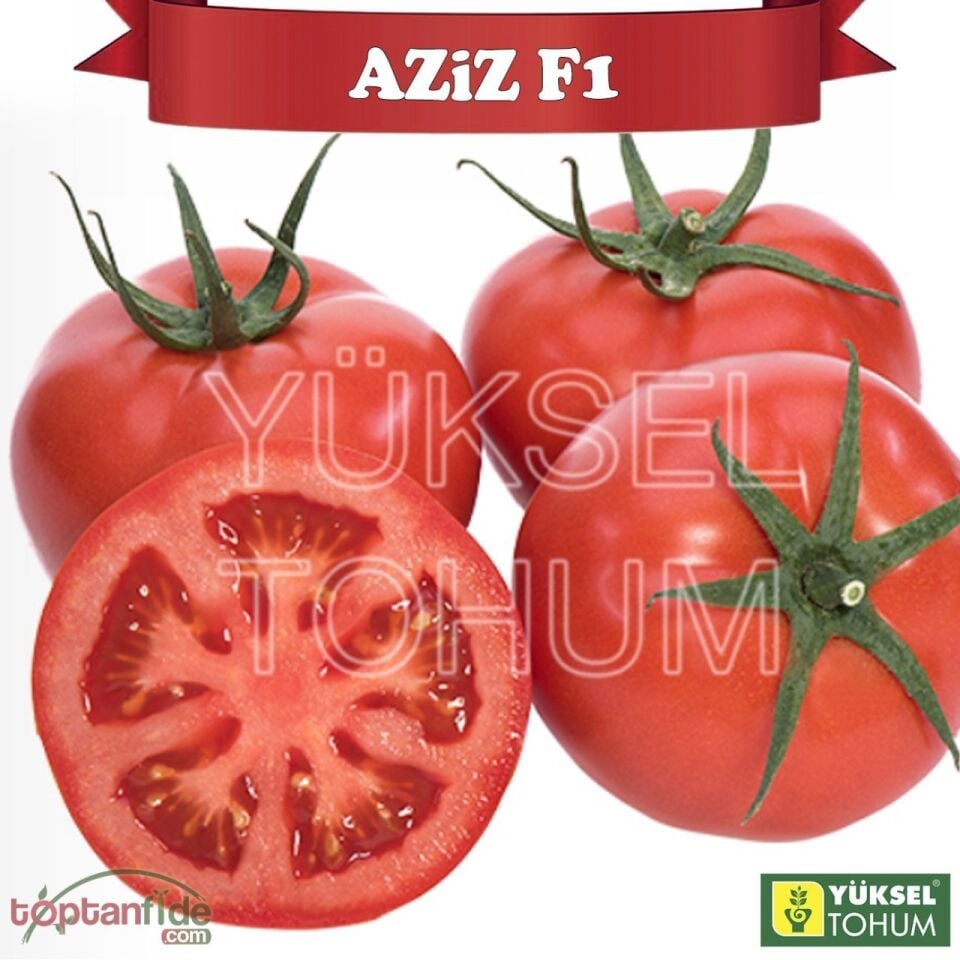 Aziz F1 Domates Tohumu