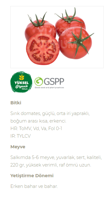 Aziz F1 Domates Tohumu