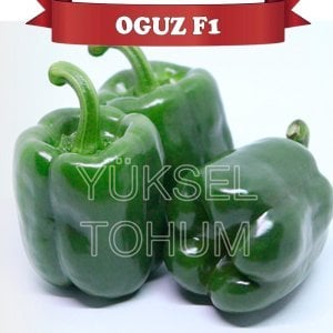 Oğuz F1 Antep Acı Dolma Biber Tohumu