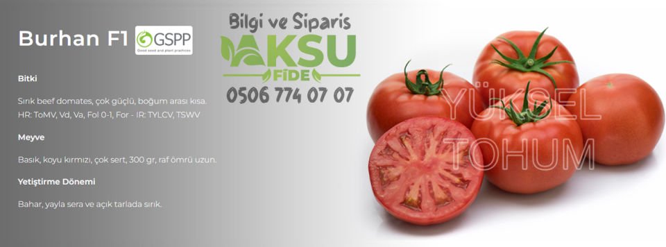 Burhan F1 Sırık Beef Domates Tohumu