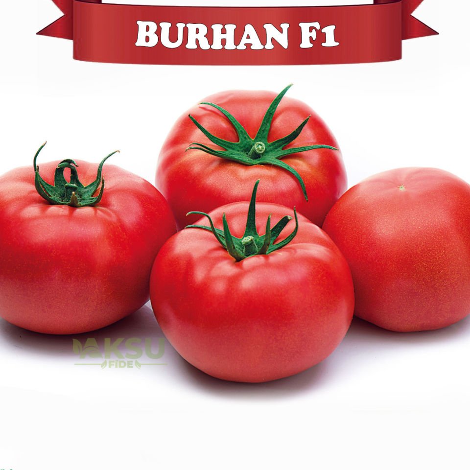 Burhan F1 Sırık Beef Domates Tohumu