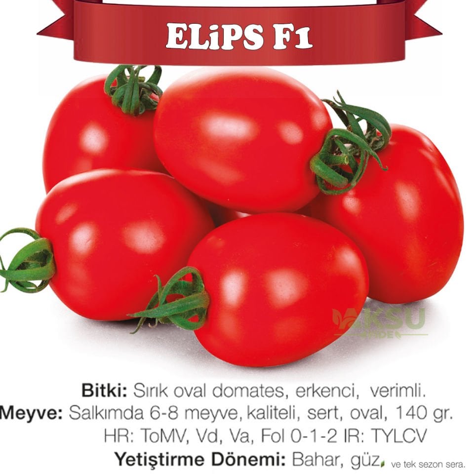 Elips F1 Sırık Oval Domates Tohumu