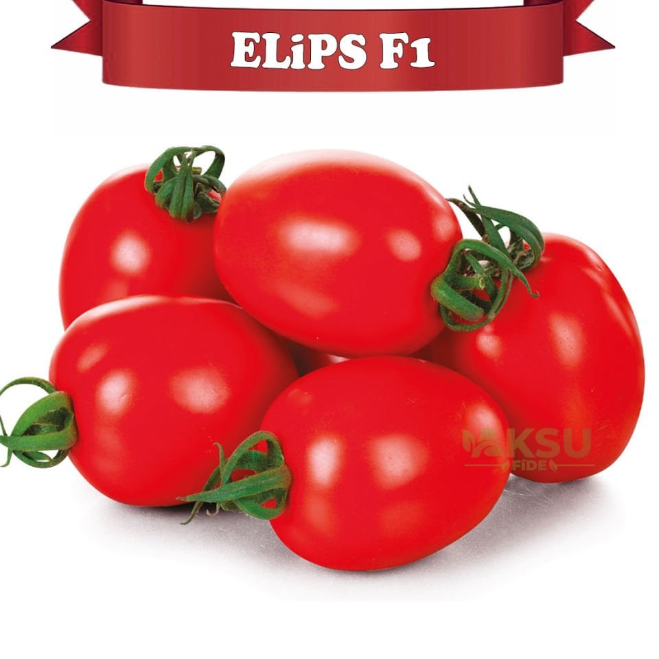 Elips F1 Sırık Oval Domates Tohumu