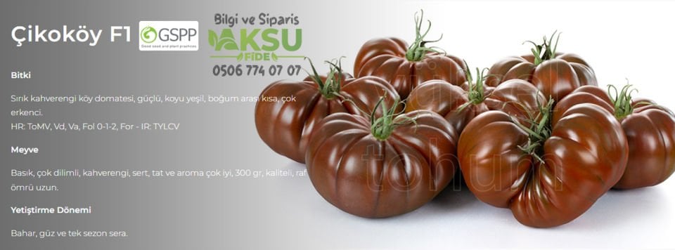 Çikoköy F1 - Kahverengi Domates Tohumu