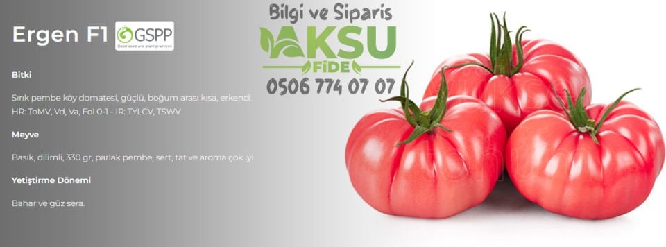 Ergen F1 - Sırık Köy Domatesi Tohumu