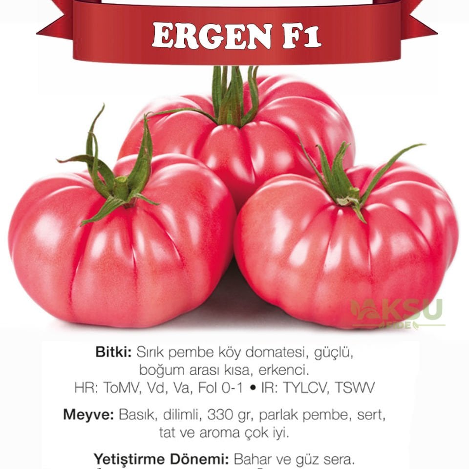 Ergen F1 - Sırık Köy Domatesi Tohumu