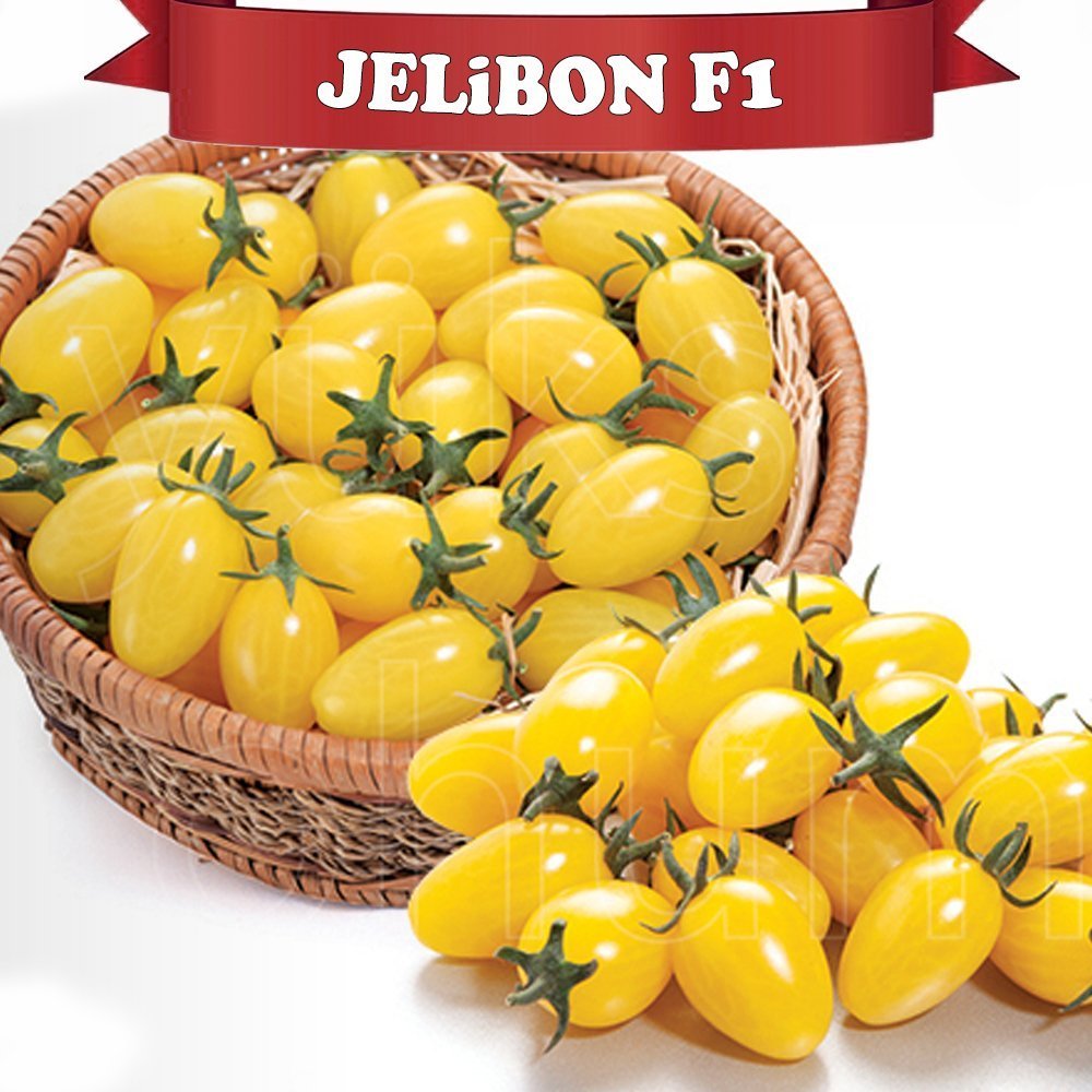 Jelibon F1 - Kiraz Domates Tohumu