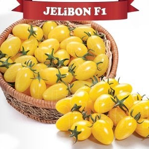 Jelibon F1 - Kiraz Domates Tohumu