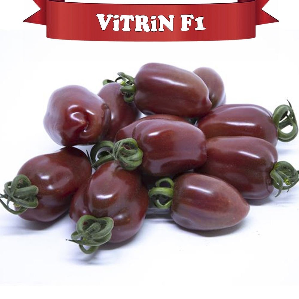 Vitrin F1 - Kahverengi Oval Domates Tohumu