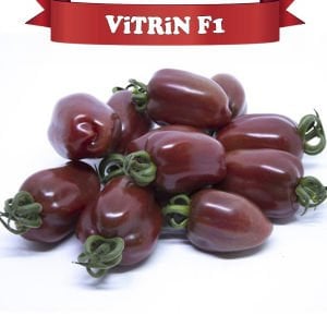 Vitrin F1 - Kahverengi Oval Domates Tohumu