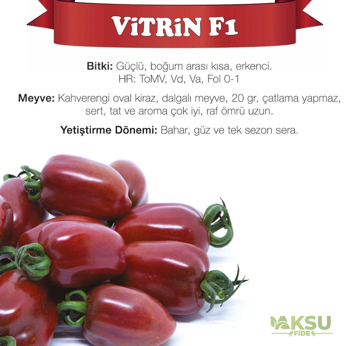 Vitrin F1 - Kahverengi Oval Domates Fidesi